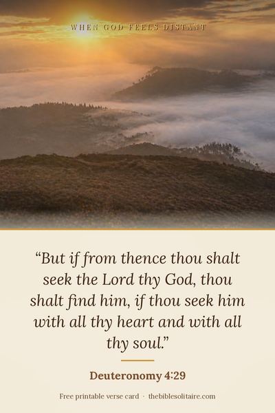 Printable verse card: Deuteronomy 4:29