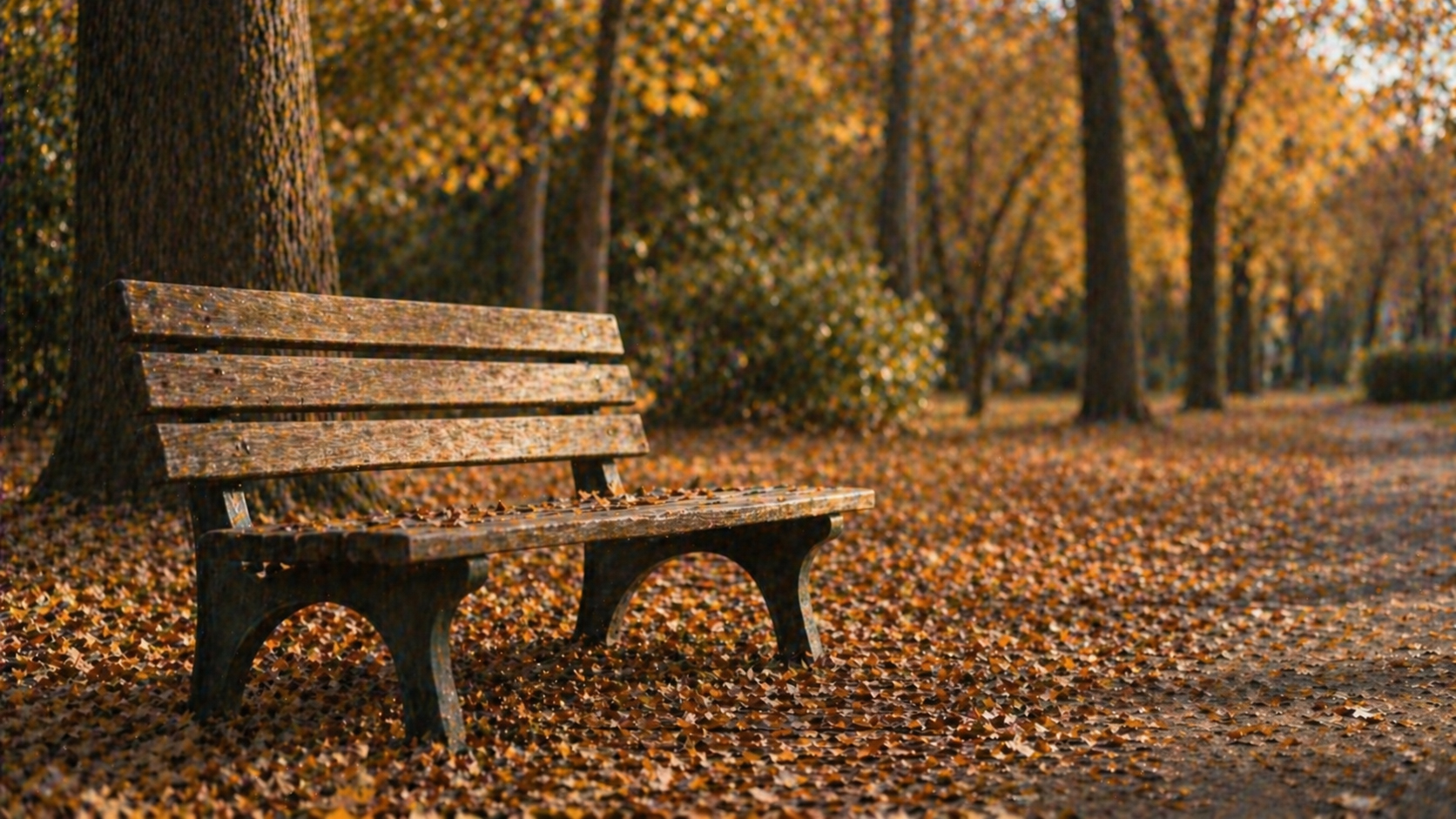 Empty bench in a park, autumn leaves, quiet and still