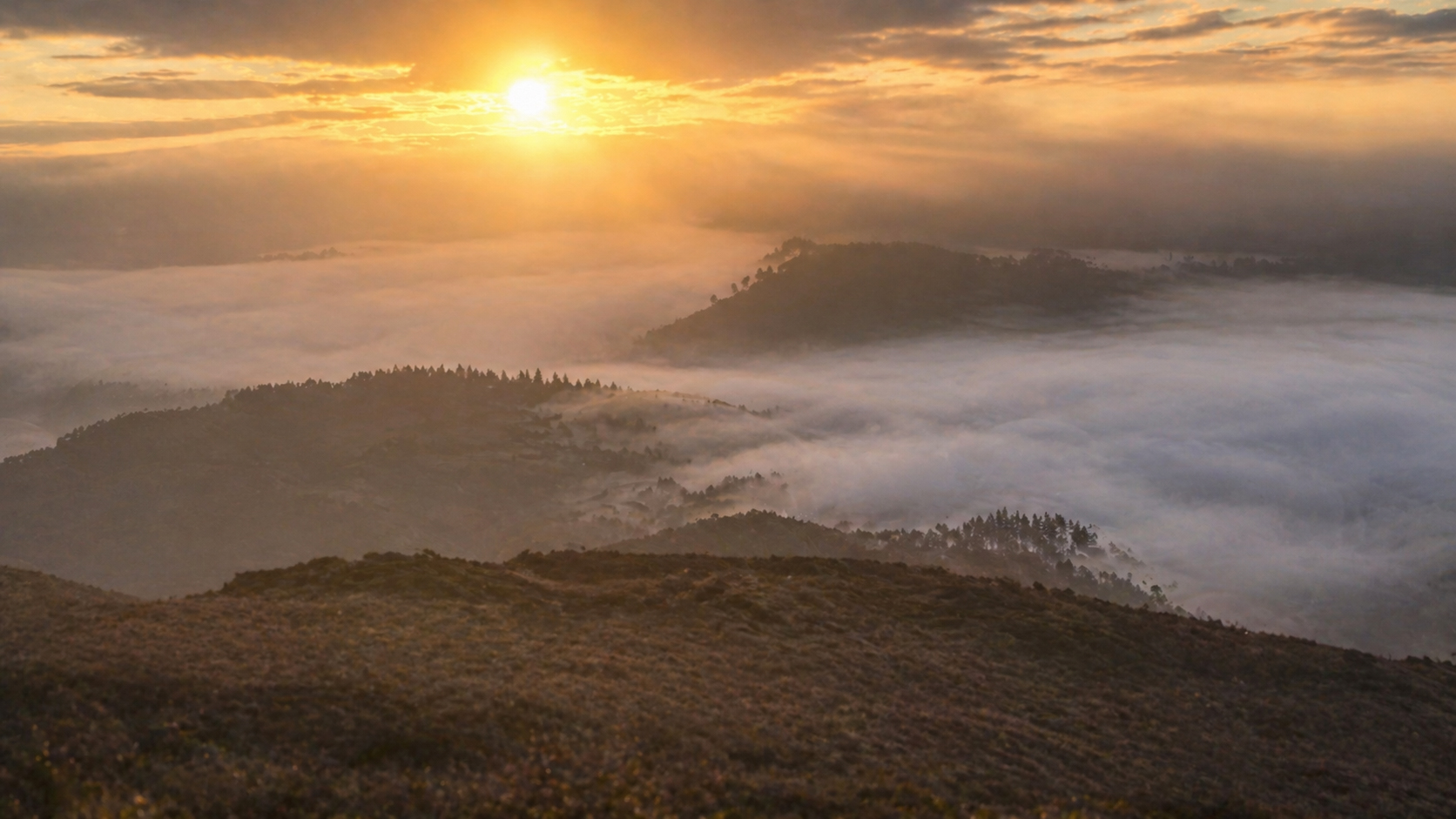 Fog over a landscape at dawn, the sun just beginning to break through